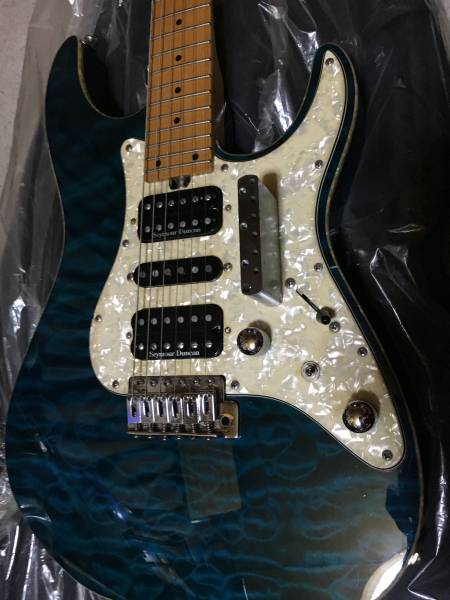 ダンカンPU他使えるパーツ付！Bacchus G-Deluxe改_1