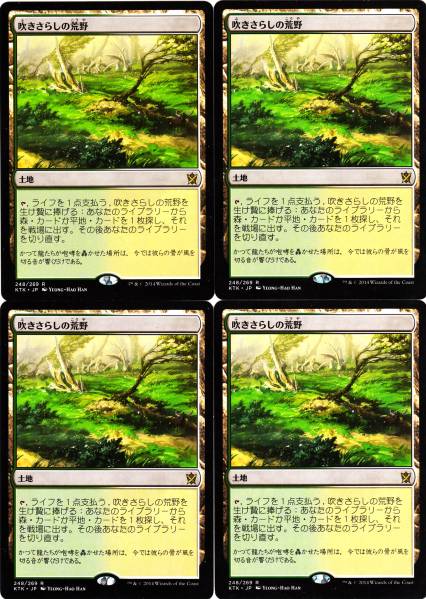 MTG 吹きさらしの荒野 日本語 MTG 【公式通販】
