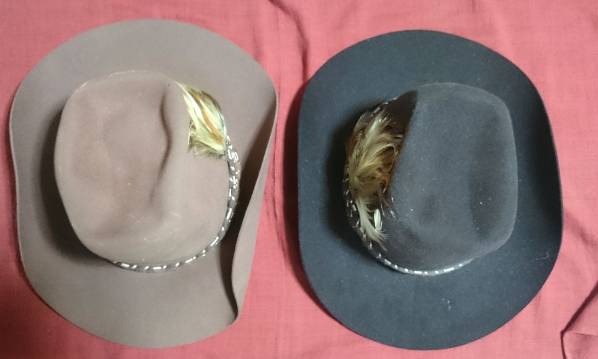 ドーフマンパシフィック テンガロンハット 色違い２個セット