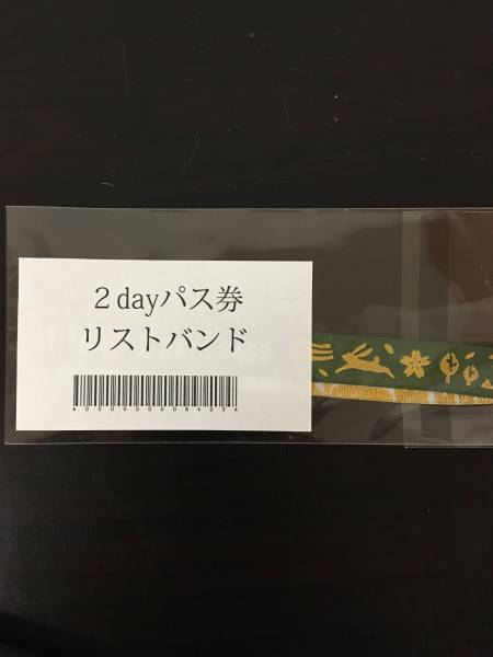 アラバキ ARABAKI 2016 2日通し券1枚 送料無料 追加_1