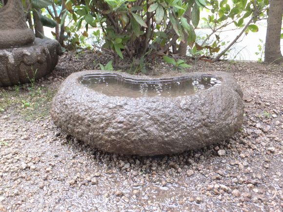  古民具睡蓮鉢古美術骨董 石鉢 水鉢 山野草灯篭蘭蹲盆栽その他(植木、庭木)｜売買されたオークション情報、yahooの商品情報をアーカイブ公開 - オークファン 植木、庭木