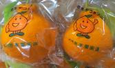 ☆新鮮熊本産貯蔵デコポン入荷（10玉入り化粧箱）販売☆