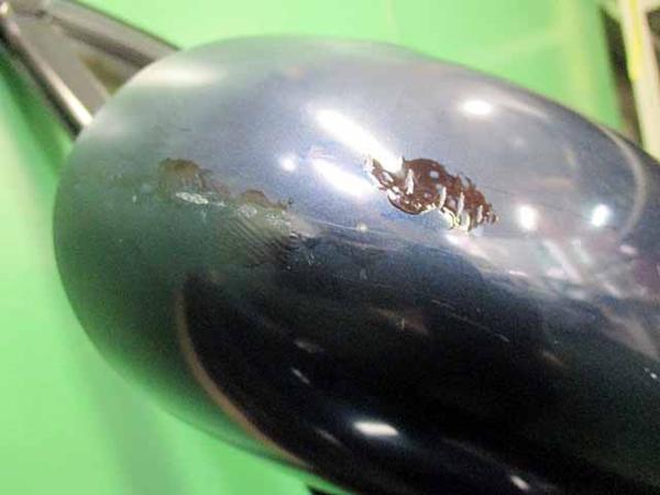 H10年 ●ロードスター VS NB8C 前期 フロントドア 右● 再塗装