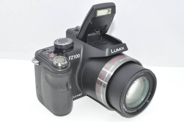 ☆新品級☆Panasonic パナソニック LUMIX DMC-FZ100☆付属☆#560