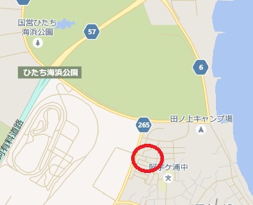 ROCK IN JAPAN 2016 8/6 駐車券 ロッキンジャパン 民間