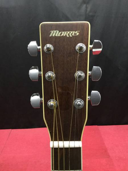 Morris MD-528 アコースティックギター☆現状品 【公式通販】