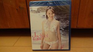 相川聖奈のYahoo!オークション(旧ヤフオク!)の相場・価格を見る｜Yahoo