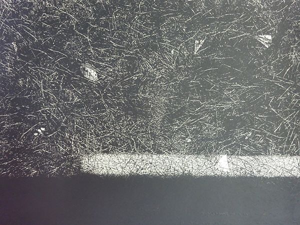 中林忠良版画　転位シリーズ01　銅版画　限50