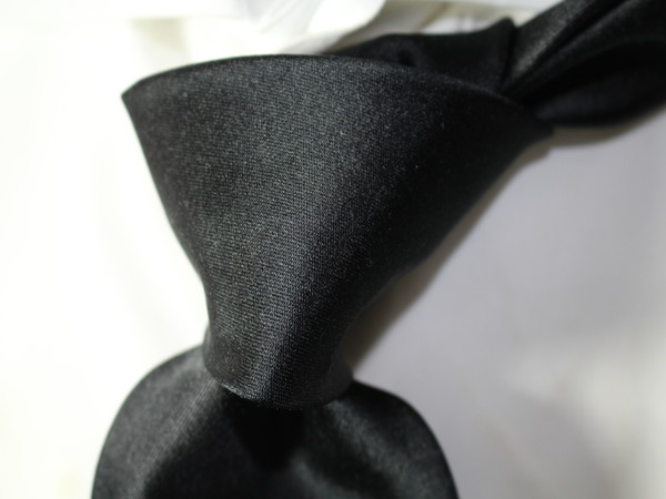 【新品/伊】pz191/パルジレリ絶品サテン地ソリッドタイ ビームス