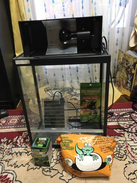 ケージ 爬虫類 飼育 爬虫類ケージ 爬虫類の通販 飼育ケージ・用品 