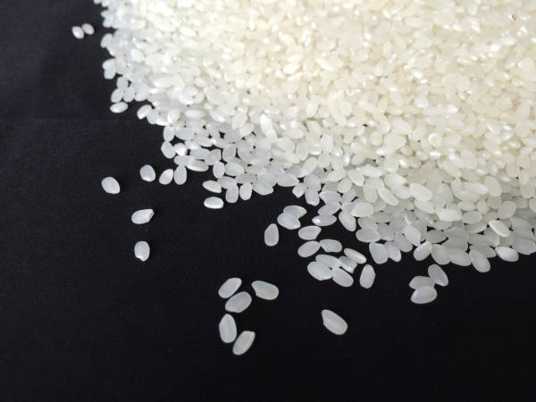 28年度■有機・新米■ミルキークイーン約27ｋｇ三重県産