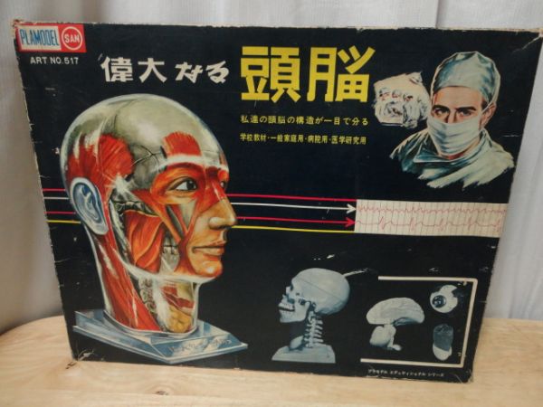 マルサン　偉大な頭脳　プラモデル