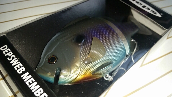 デプス ブルシューターJr ②