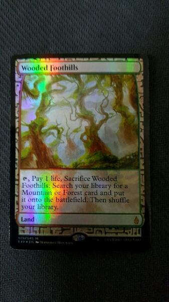 MTG 樹木茂る山麓 wooded foothills BFZ exp foil 1枚