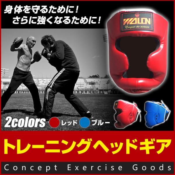 お得，人気 ボクシング トレーニング ヘッドギア 練習用 ブルー(その他)｜売買されたオークション情報、yahooの商品情報をアーカイブ公開 - オークファン その他