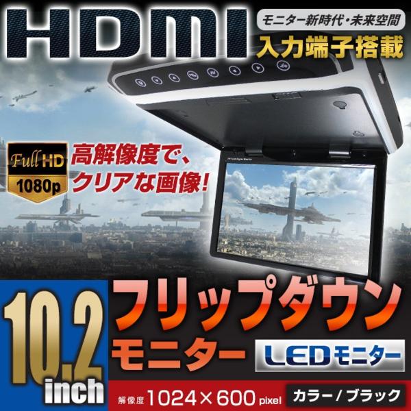 x491086359.1