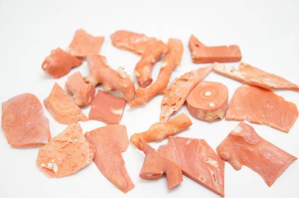 〇 珊瑚 原木 サンゴ 赤 素材中サイズ まとめ売り 104.5g ②　