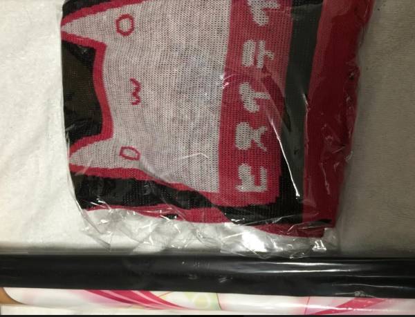 囚われのパルマ ハルト タペストリー 心にも光を灯して