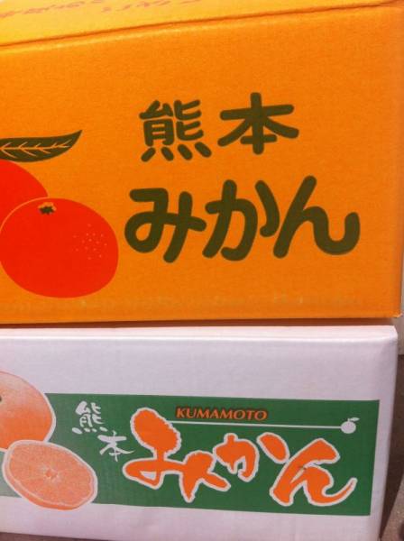 不知火(デコポン)家庭用20キロ 熊本県産】家庭用不知火 大量約20Kg 5 【公式通販】