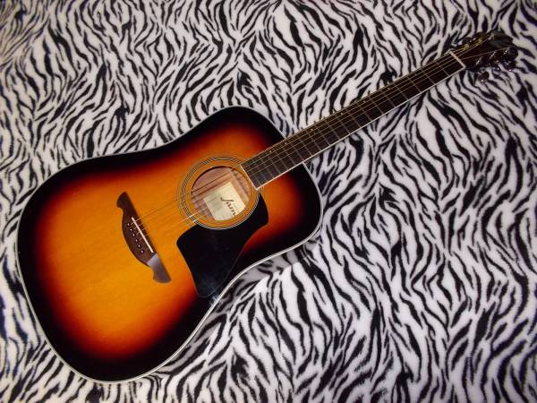 ☆島村楽器[JAMES]トップ単板[JD-400/TBS]新品SC付☆ 本体