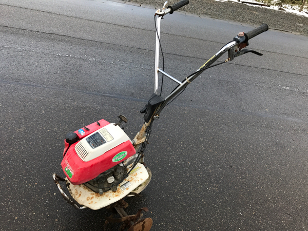 x485021788.1