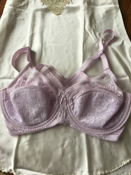 新品格安！シャンデール ロゴメッシュ　補正ブラジャー　D80 パープル