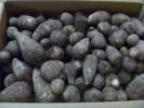 有機・無農薬栽培の里芋5ｋｇ_1