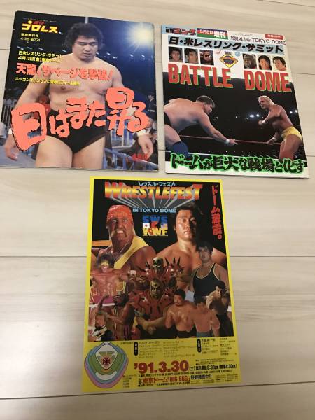 日米レスリングサミット！増刊号！SWS レッスルフェストin東京ドーム