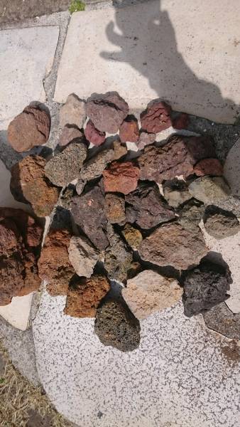 溶岩石 特大、大、中、小 水槽レイアウト用