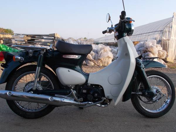 リトルカブ リトルカブ(ホンダ) | 走行距離5000km以下のバイク一覧