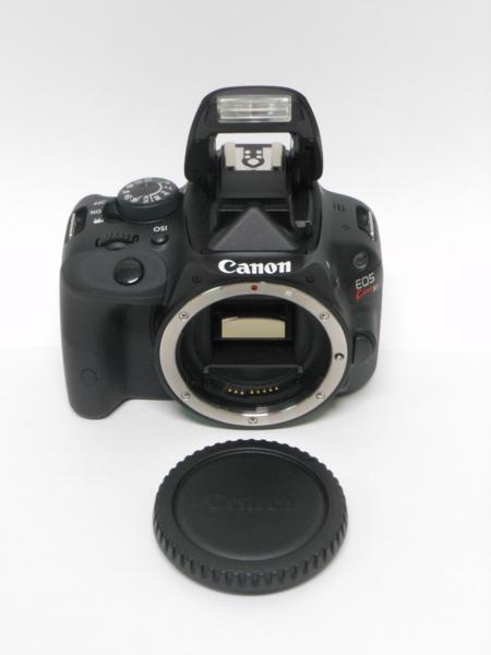 k280255625.1