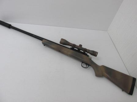 j434866367.3