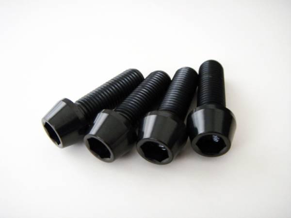 100%新品，正規品 チタンボルト キャリパーサポートボルト M10 x 35mm 1.25P 黒(ブレーキ)｜売買されたオークション情報、yahooの商品情報をアーカイブ公開 - オークファン その他
