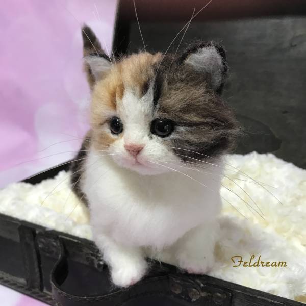 Feldream◇羊毛フェルト猫 マンチカン子猫 三毛（キャリコ）《実物大