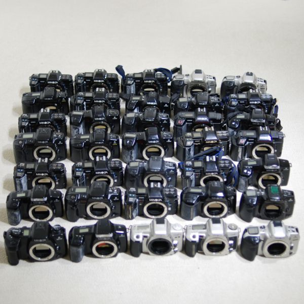 c644029186.2