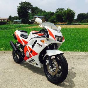 YAMAHA 粘 FZR250R 3LN 1HX 純正アンダーカウル左右セット