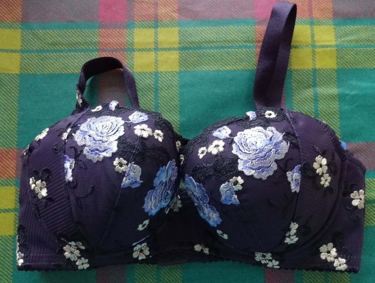 ルミエ ワコール ブラジャーｅ６５ 姿勢ブラ Bed017 65以下 売買されたオークション情報 Yahooの商品情報をアーカイブ公開 オークファン Aucfan Com