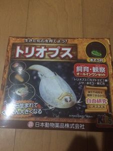 18年06月 カブトエビのヤフオク の相場 価格を見る ヤフオク のカブトエビのオークション売買情報は42件が掲載されています