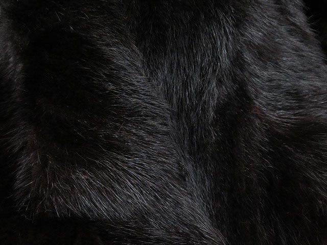 e241431774.4