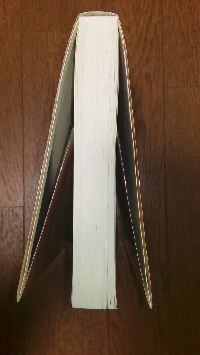 ミラレパ-チベットの偉大なヨギー おおえまさのり訳編 チベット密教