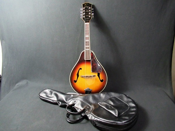 D40◆電子マンドリン　ソフトケース付　8弦　弦楽器