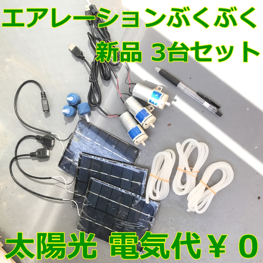 n203626876.4