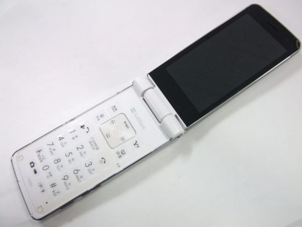 h271863506.3