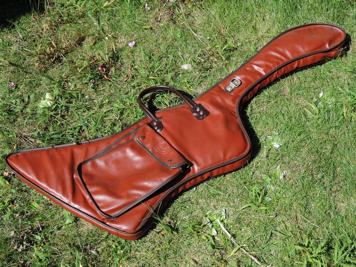 Aria Pro ll /Explorer/エクスプローラー/FlyingV/Hamer/リタ・フォード Aria Pro II ZZ Deluxe Electric Guitar Explorer JAPAN 1983 Used | eBay