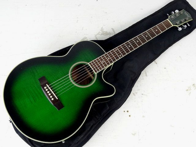 動作OK 美品◇フジゲン FUJIGEN エレアコ ANBOY REGALO REA-50WGS