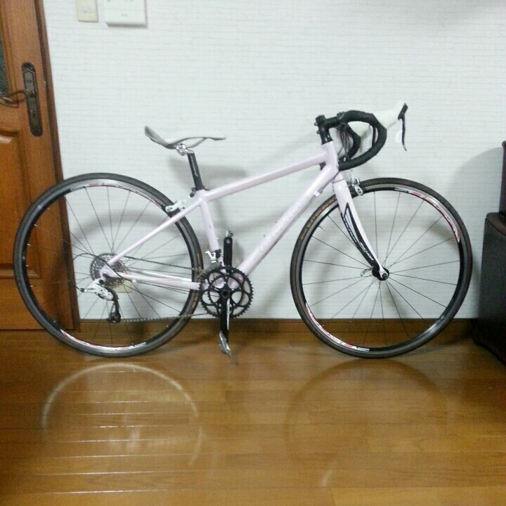 ANCHOR RA5W ロードバイク 「アンカー」 2010年モデル RFA5W イー 