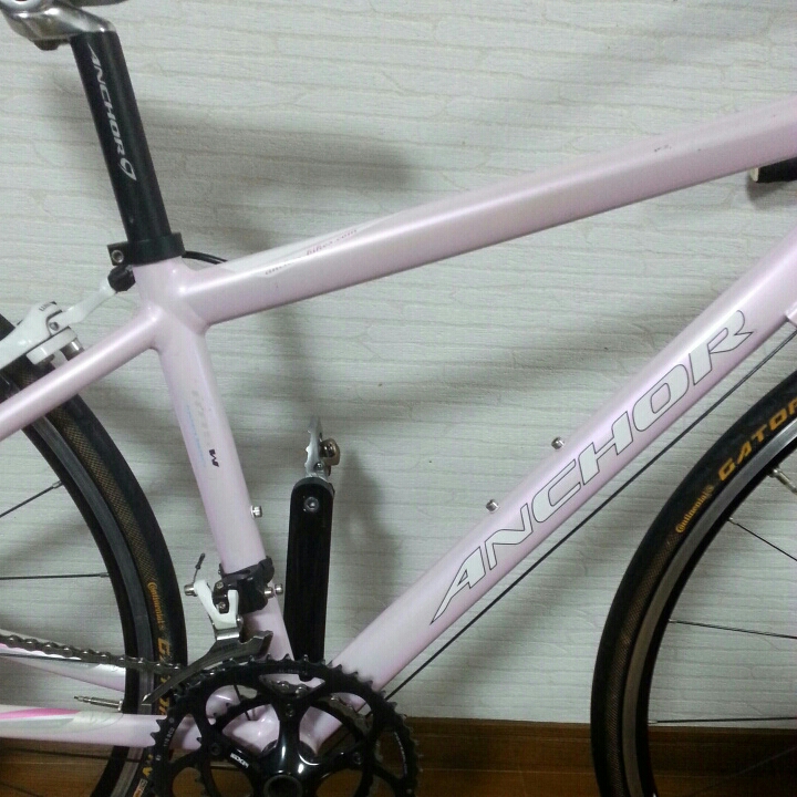 ANCHOR RA5W ロードバイク 「アンカー」 2010年モデル RFA5W イー 