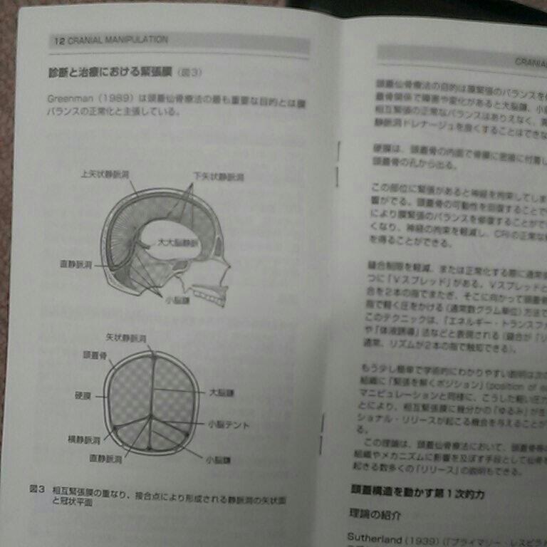 DVD教材ストア 医療情報研究所 DVDクラニアル・マニピュレーション