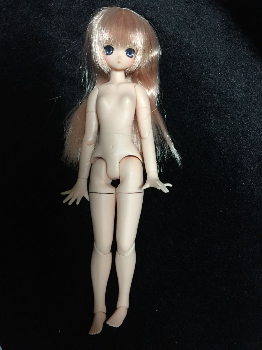 えっくすきゅーと 素体 アゾン AZONE - えっくす☆きゅー