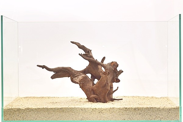 流木 現品 60cm水槽に入れて /水槽/水草/レイアウト/活着/011